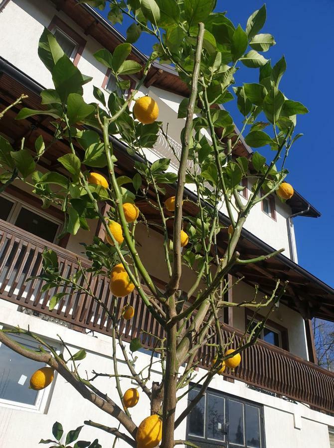 Hany Villa Sarajevo Eksteriør bilde